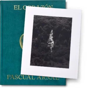 01_pascual_obra_768x768-600x600